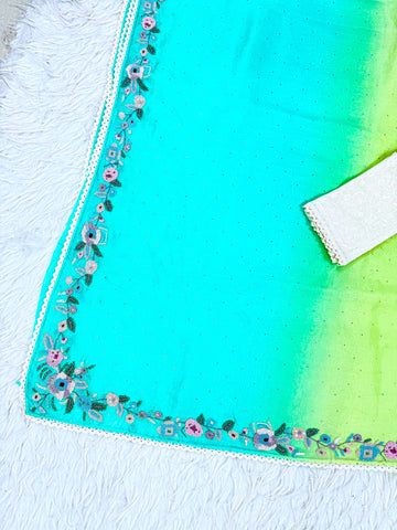 PURE  HANLOOM ORGANZA SAREE