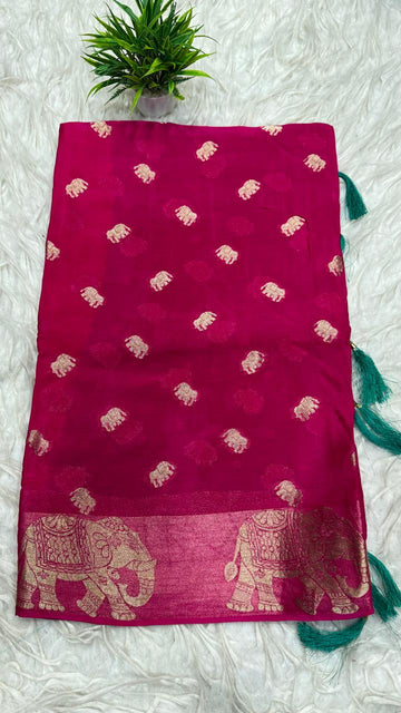 Chinnon Chiffon Saree
