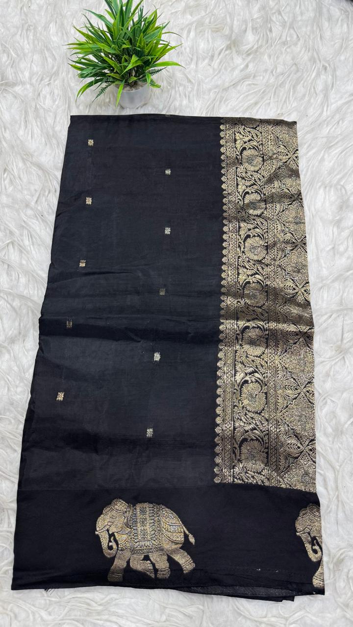 Chinnon Chiffon Saree