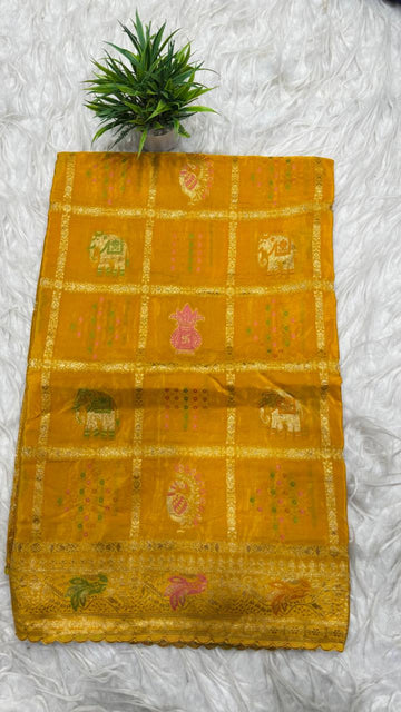 Chinnon Chiffon Saree