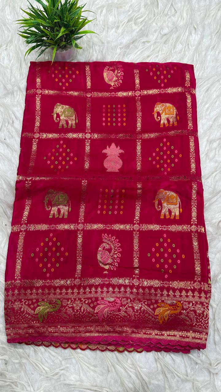 Chinnon Chiffon Saree