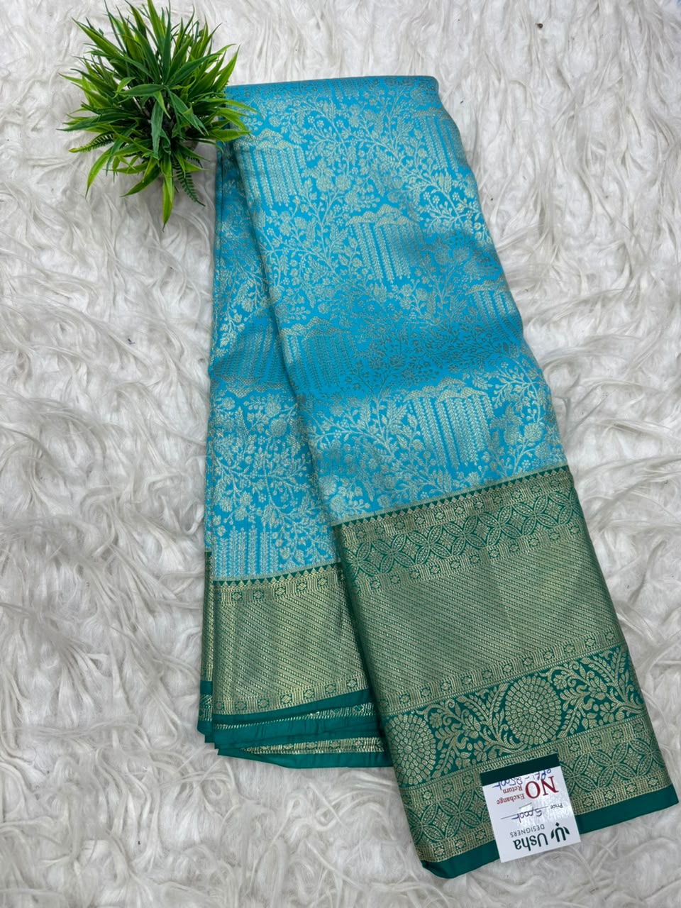 Double Ratium Kanchi Pattu Saree
