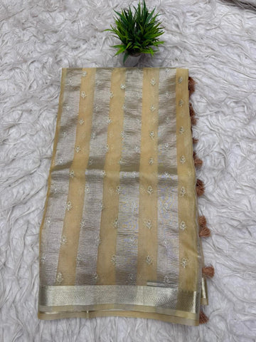 Soft Organza Tissue Fusion Saree