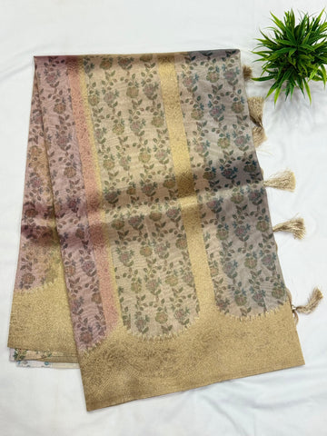 Tissue Organza Sarees