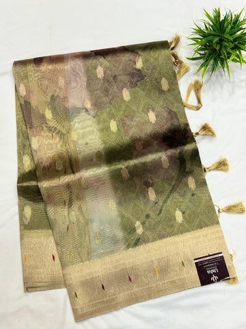 Tissue Organza Sarees