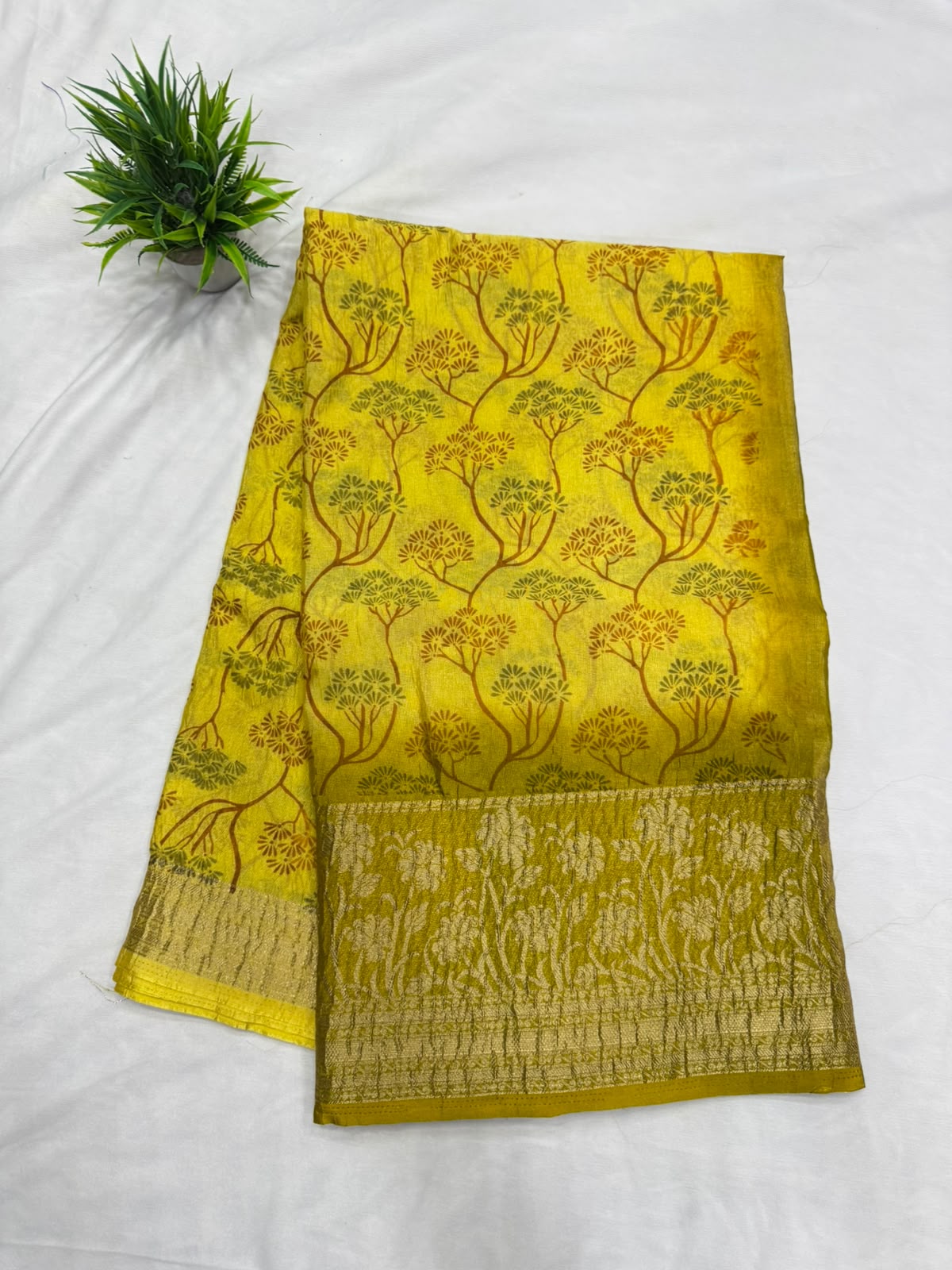 Benarasi Saree