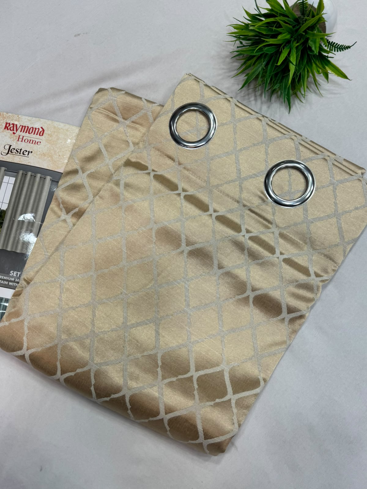 Rayomond Window Curtains