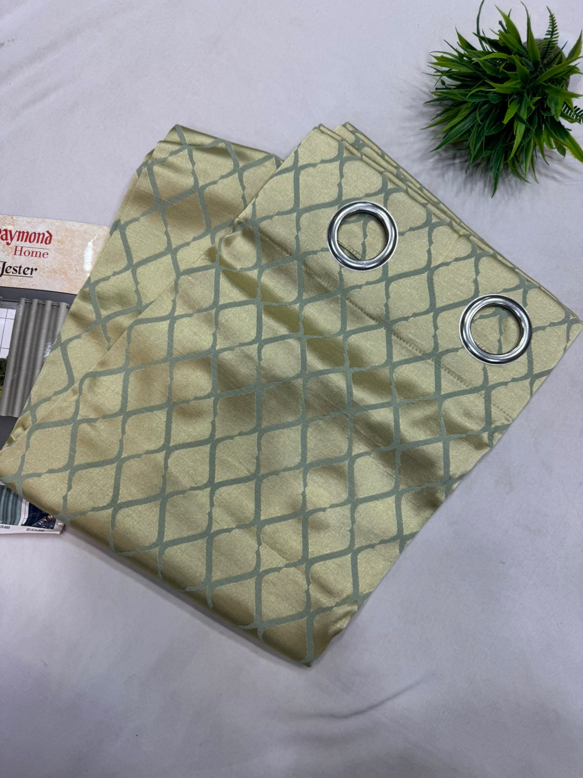Rayomond Window Curtains