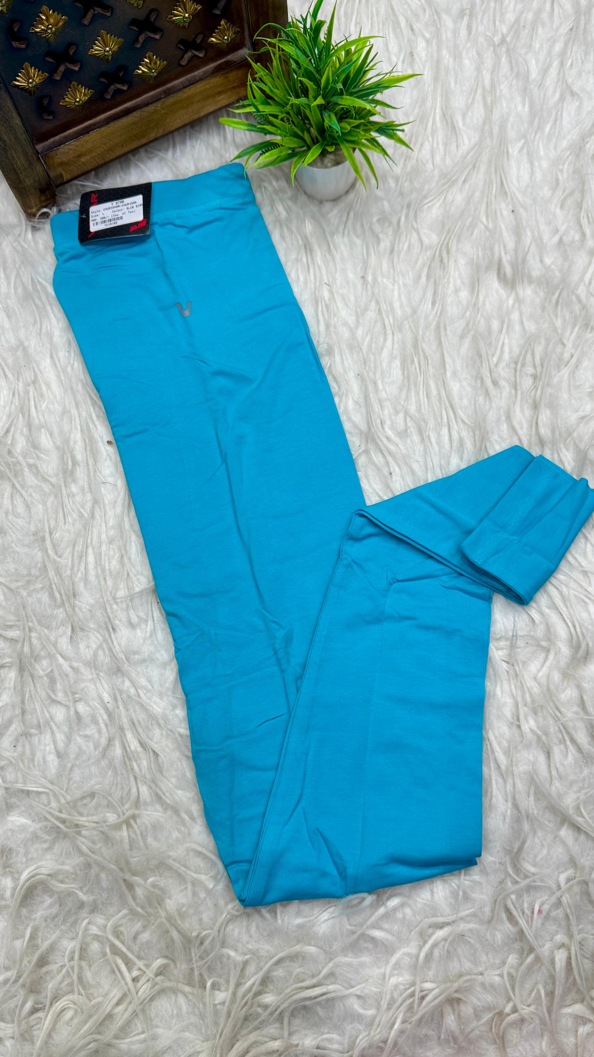 V Star Brand Ladies Chudi Leggings (L) Size
